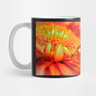 Macro photo of an Orange Gerbera with a teardrop Mug